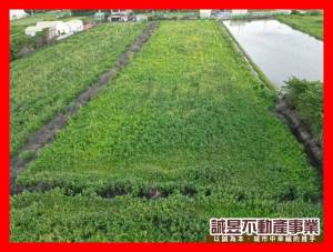 誠昱/安南區總頭寮投資都內農地