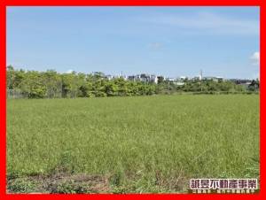 誠昱/西港劉厝方正小而美.