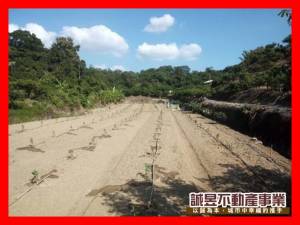 誠昱/南化中坑景區健康.